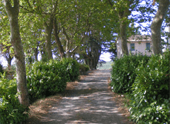 Zufahrt zum Weingut Domaine de Bosc Long
